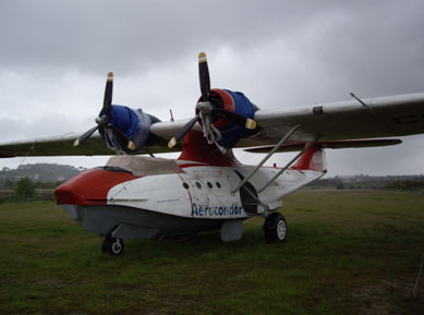 Ferry Flight Preparation